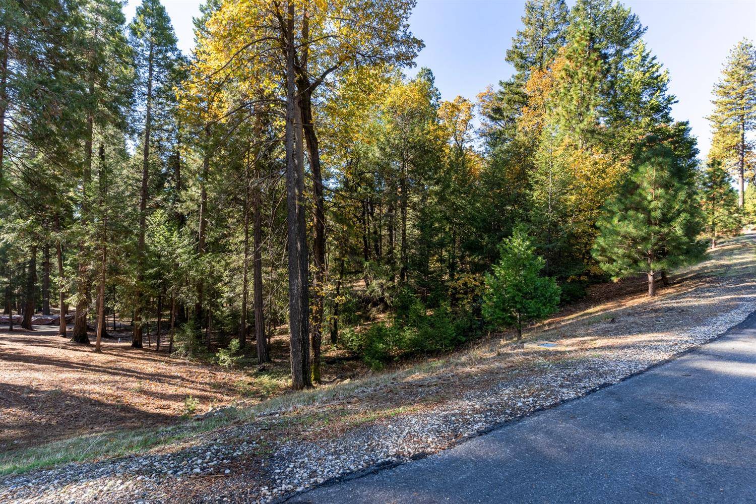 Nevada City, CA 95959,13837 Gemini CT