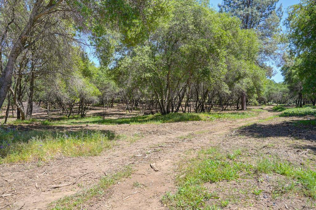 Auburn, CA 95603,10650 Werner RD