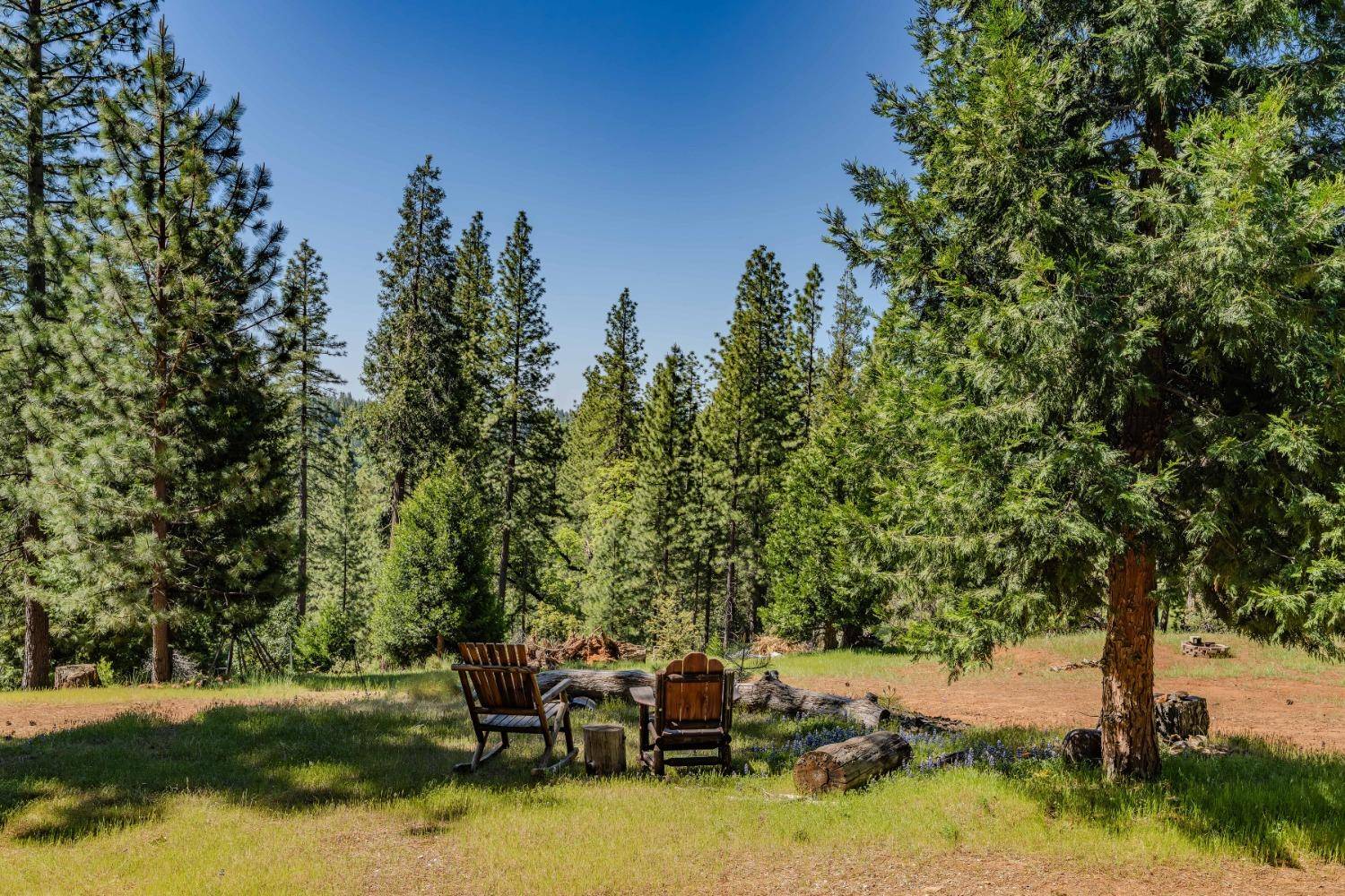 Pioneer, CA 95666,26340 Cedar AVE