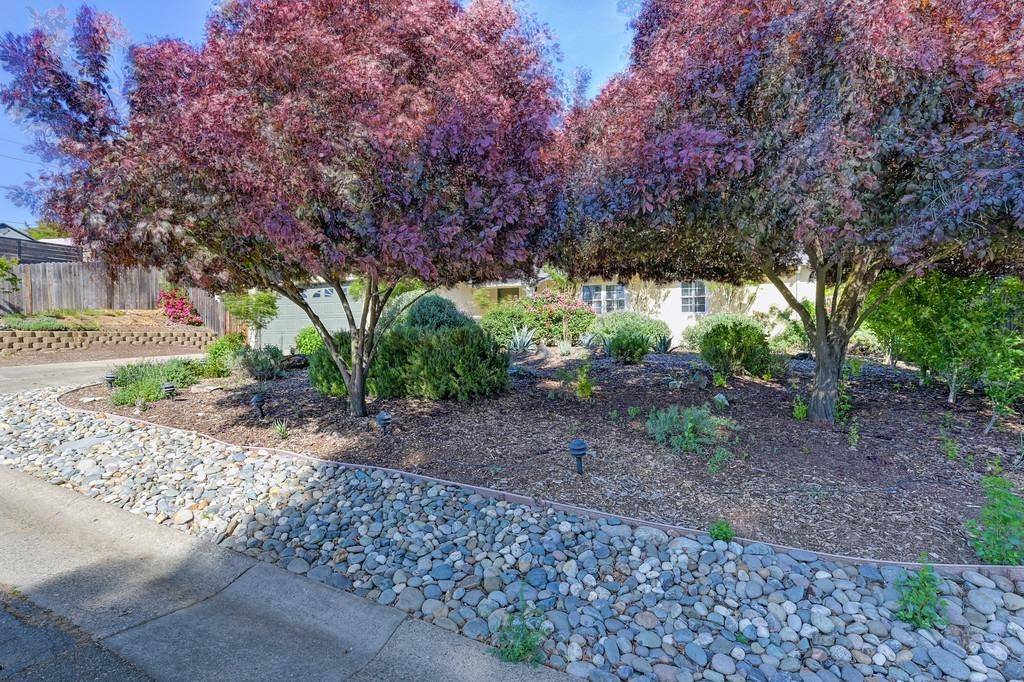Fair Oaks, CA 95628,5349 Mcmillan DR