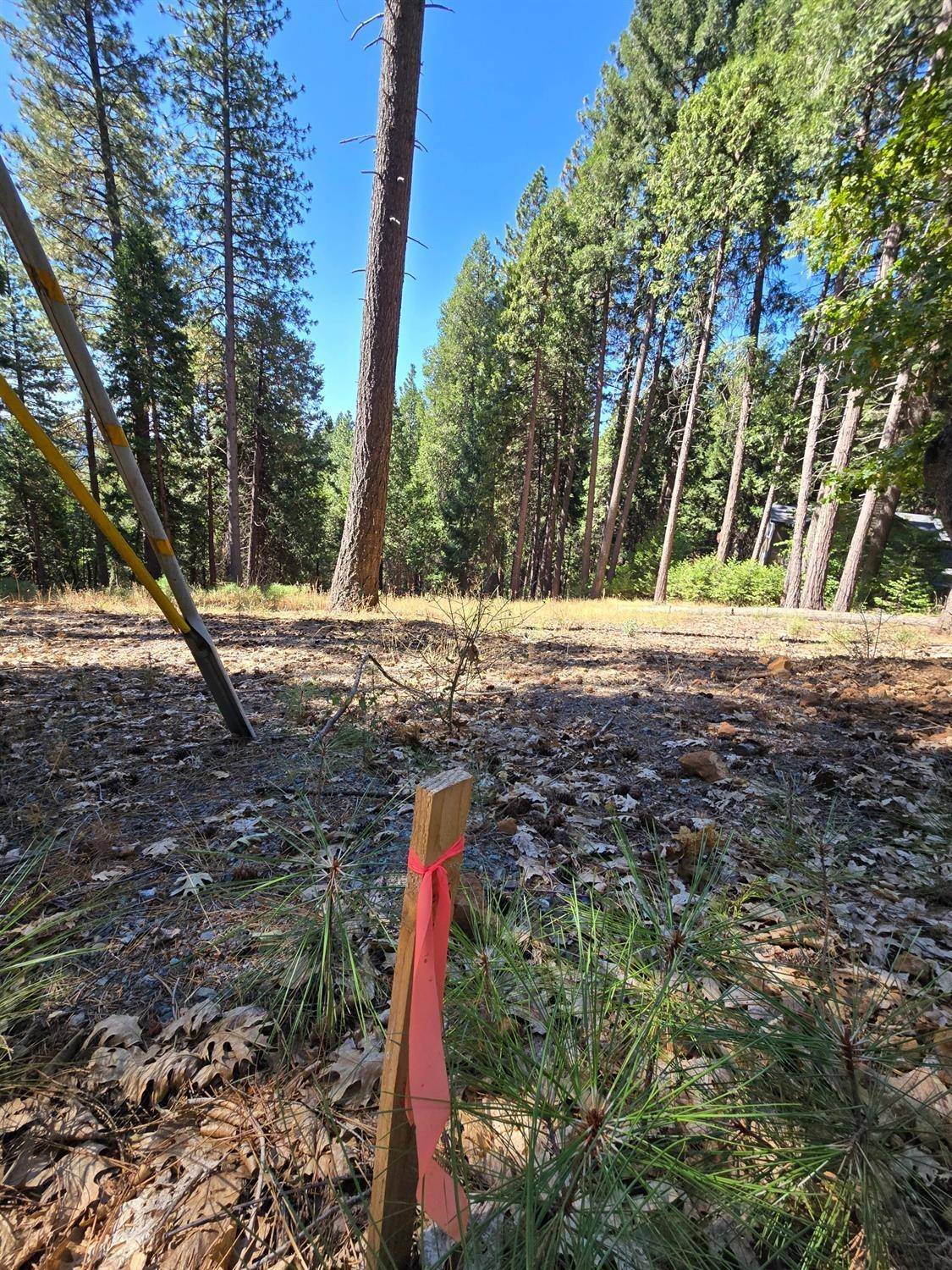 Pollock Pines, CA 95726,3224 York CT