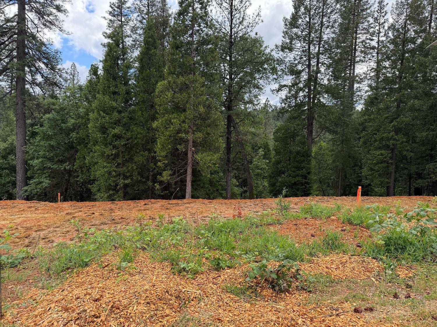 Grass Valley, CA 95945,12465 New Brunswick CT