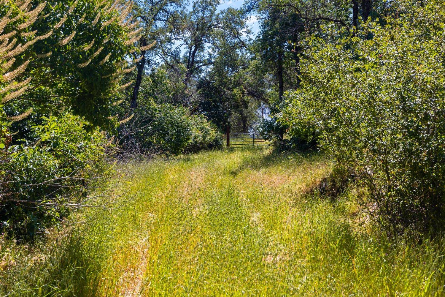 Sonora, CA 95370,18085 lime rock DR