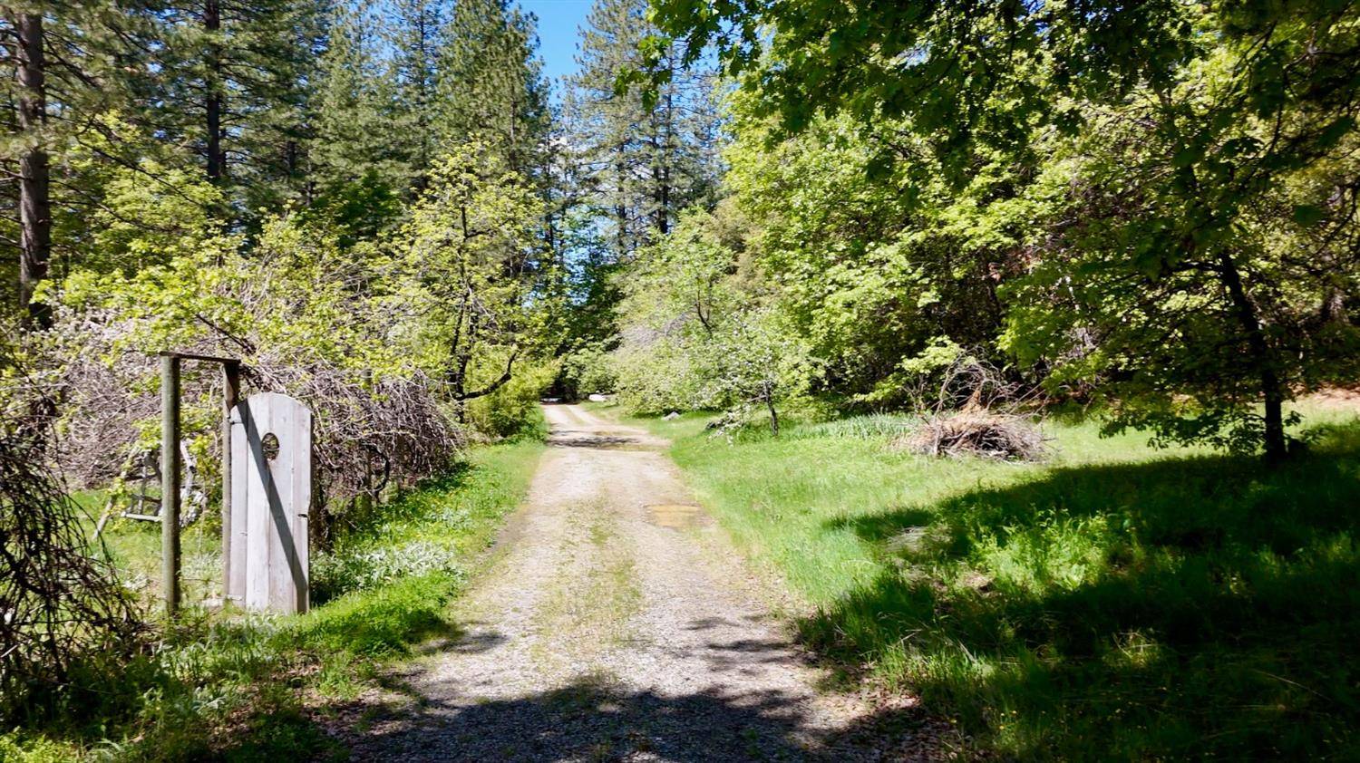 Nevada City, CA 95959,Address not disclosed