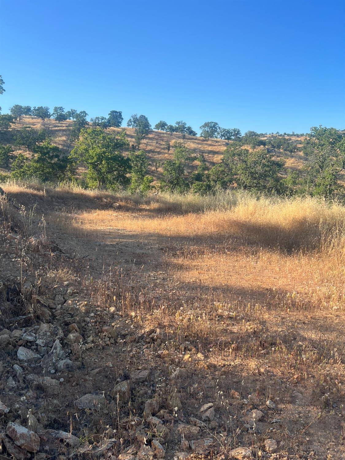 La Grange, CA 95329,9720 Hernandez DR
