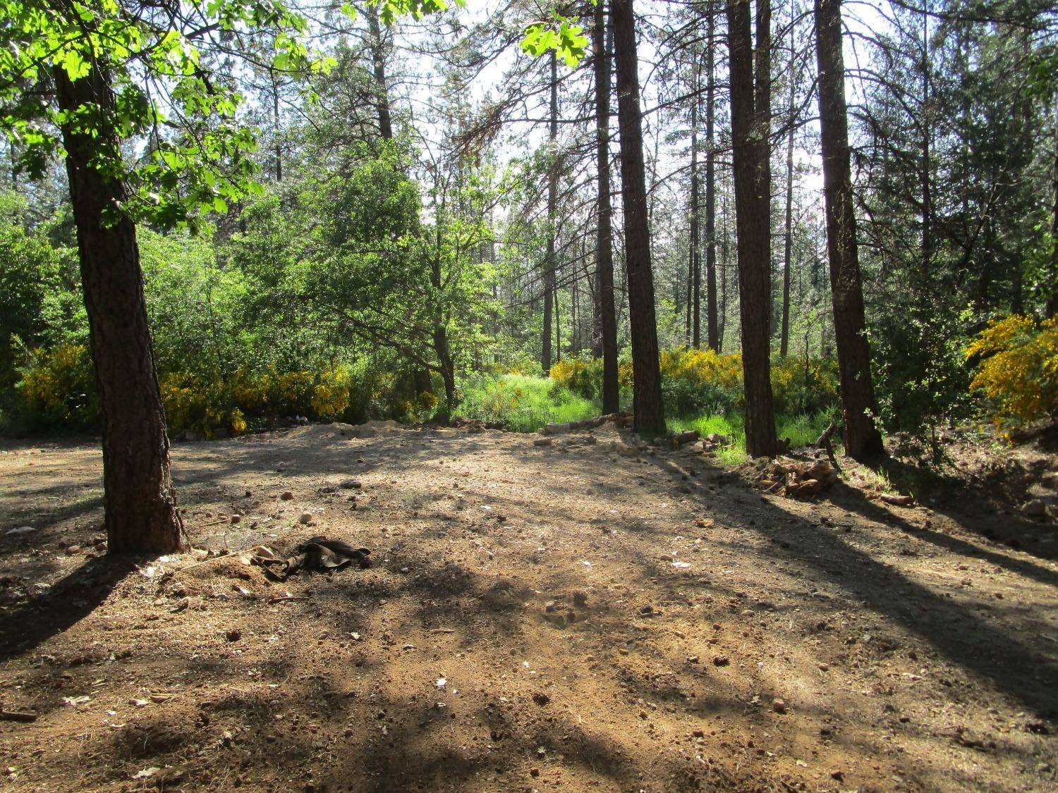Nevada City, CA 95959,16289 Badger Hill RD