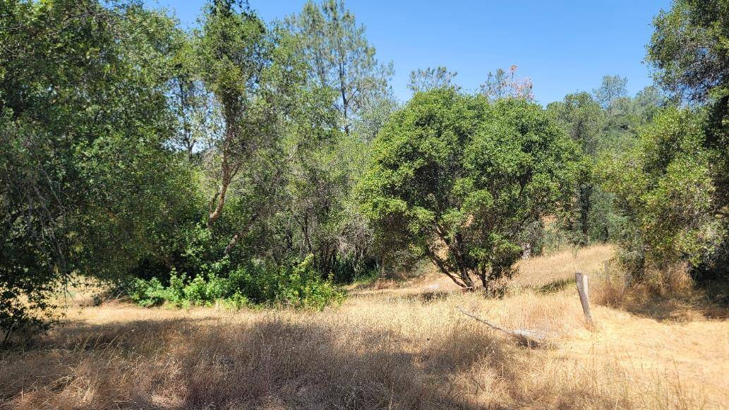 Coarsegold, CA 93614,32728 Meadow Ridge RD