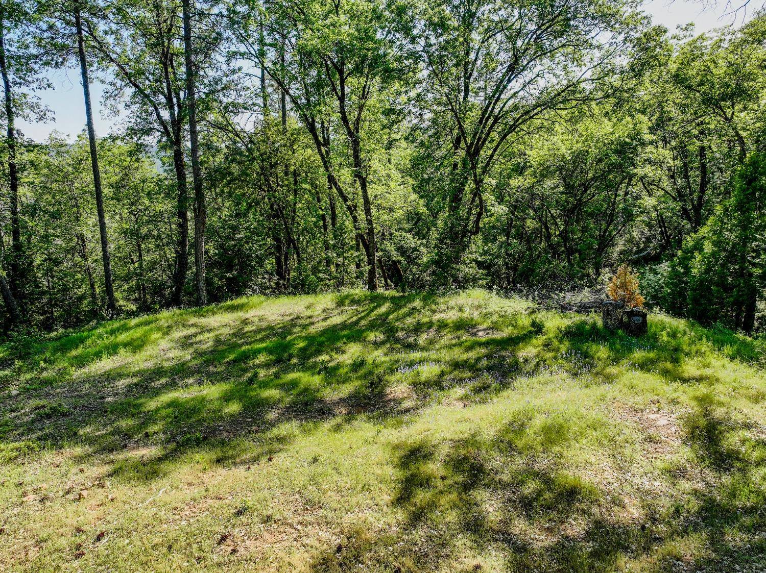 Nevada City, CA 95959,21160 Kuntz Rd