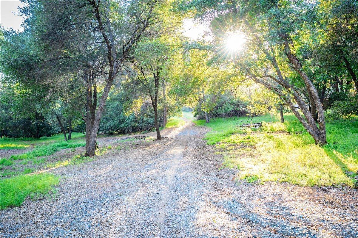 Garden Valley, CA 95633,6340 Roller Coaster RD