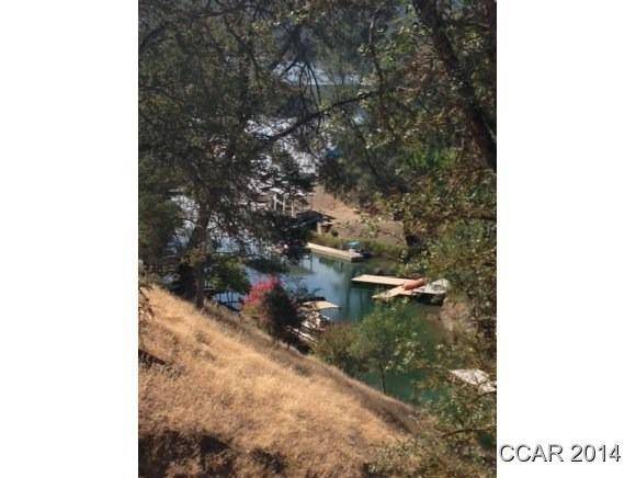 Copperopolis, CA 95228,4319 Tomahawk TRL