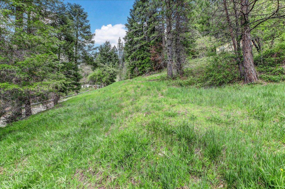 Downieville, CA 95936,118 E. River St.