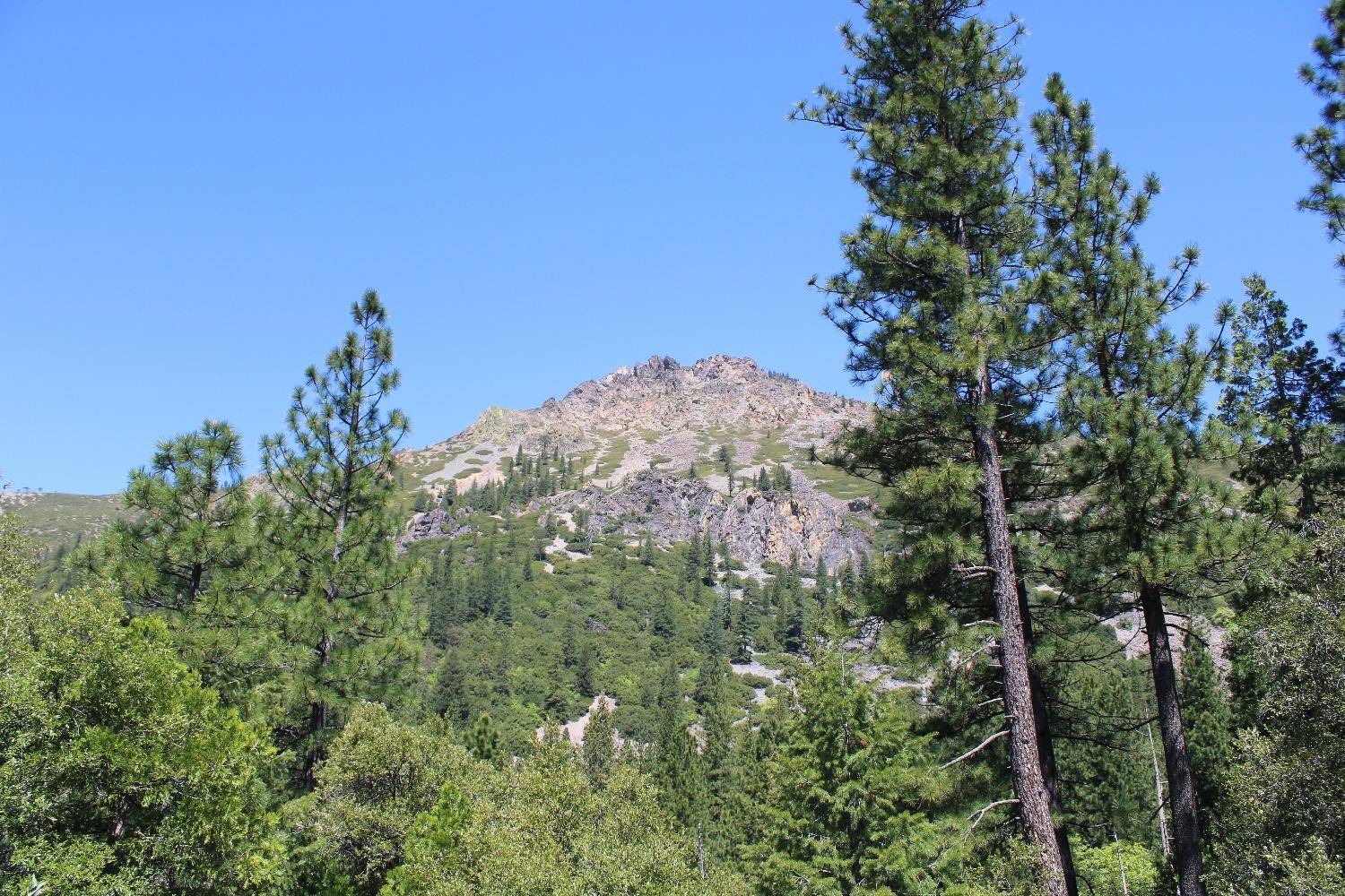 Sierra City, CA 96125,558 Brady Dr.