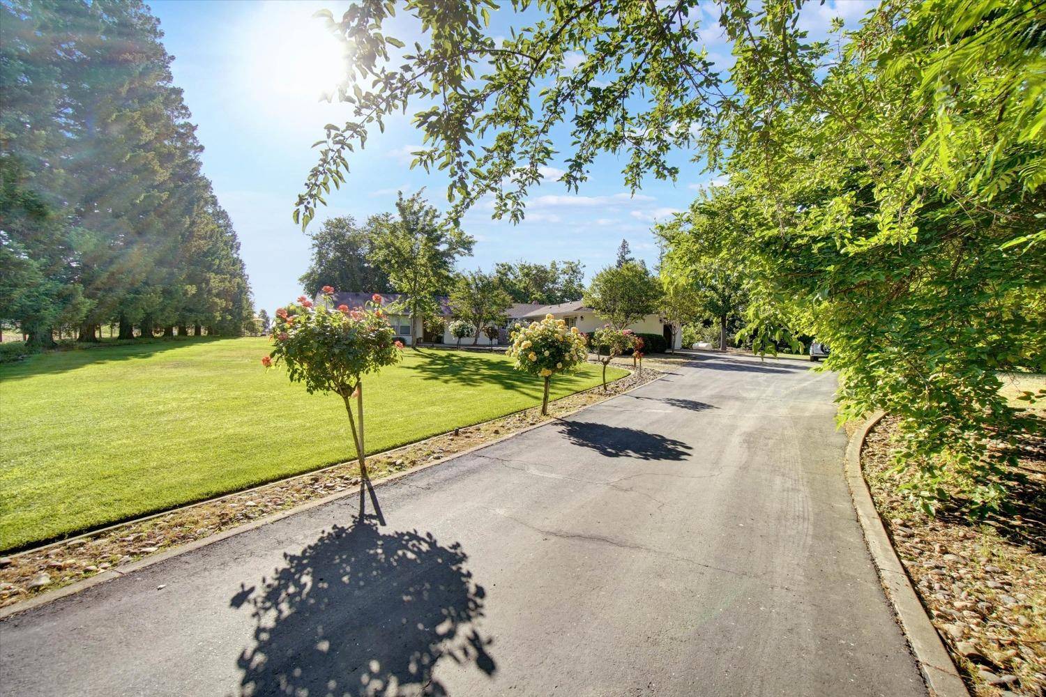 Wilton, CA 95693,10363 Maggy RD