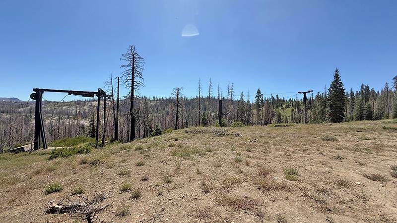 Pollock Pines, CA 95726,99981 Mormon Emigrant TRL