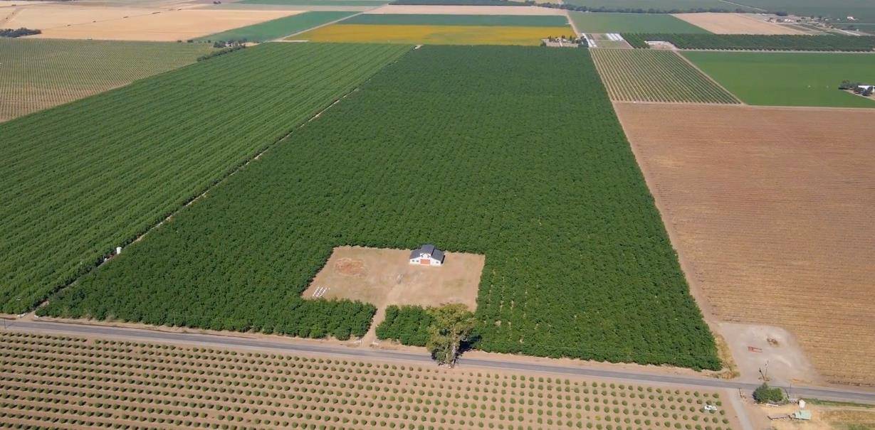 Davis, CA 95695,24822 County Rd 99