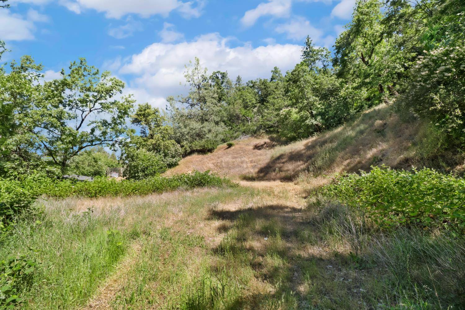 Placerville, CA 95667,1947 Penny LN