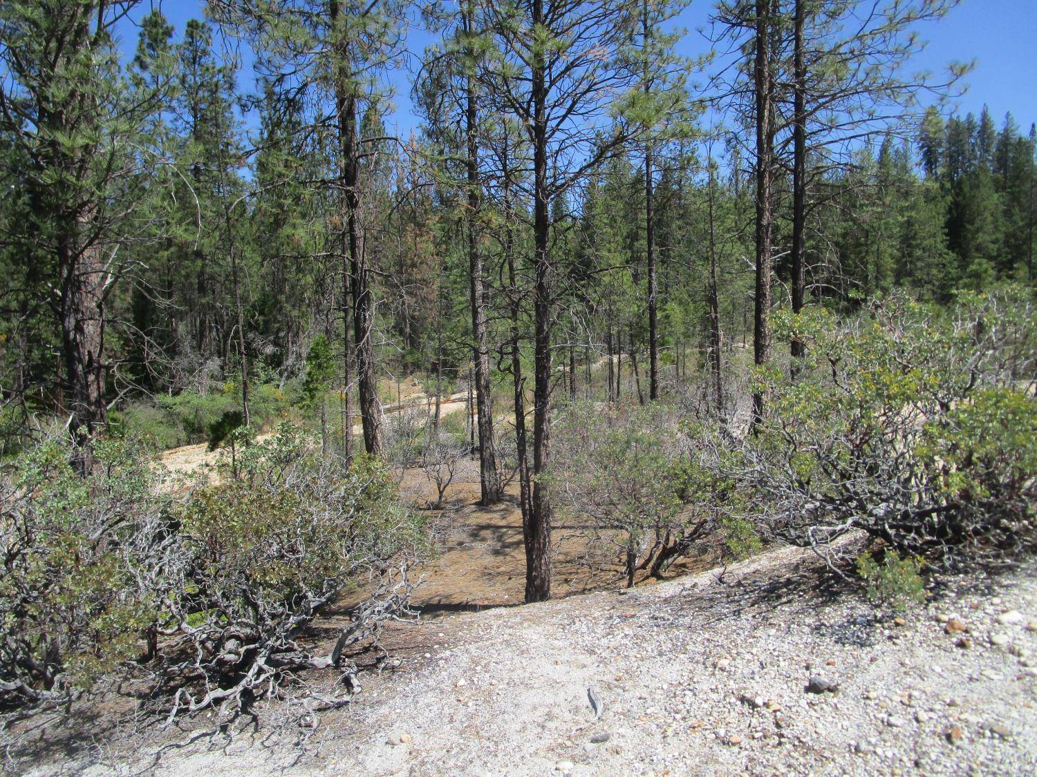 Nevada City, CA 95959,(20 AC) Tyler Foote RD