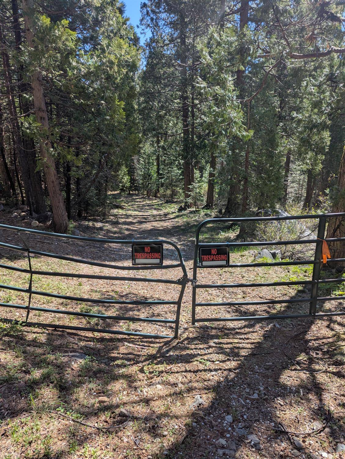 Emigrant Gap, CA 95715,0 Texas Hill