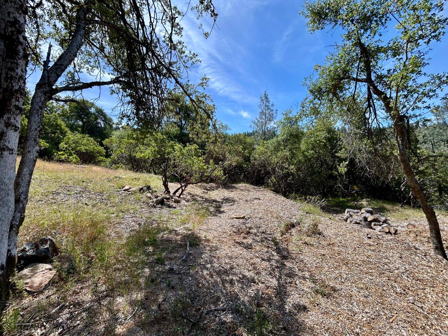 Nevada City, CA 95959,15805 Shannon WAY