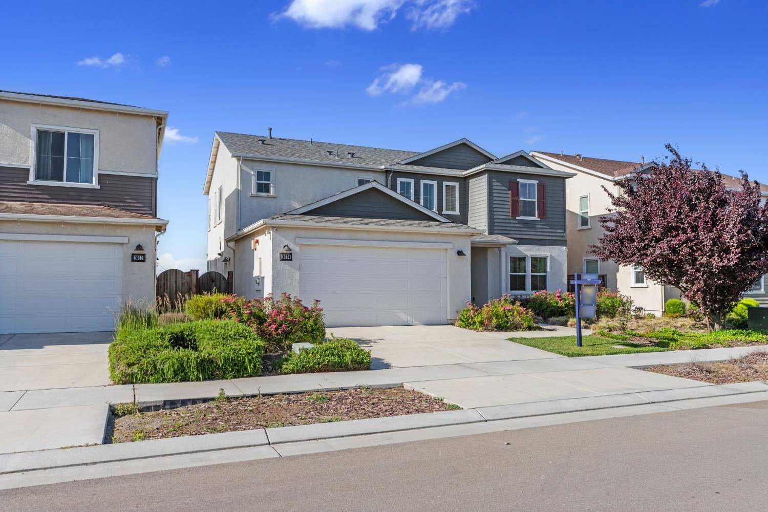 Lathrop, CA 95330,1674 Locksley DR