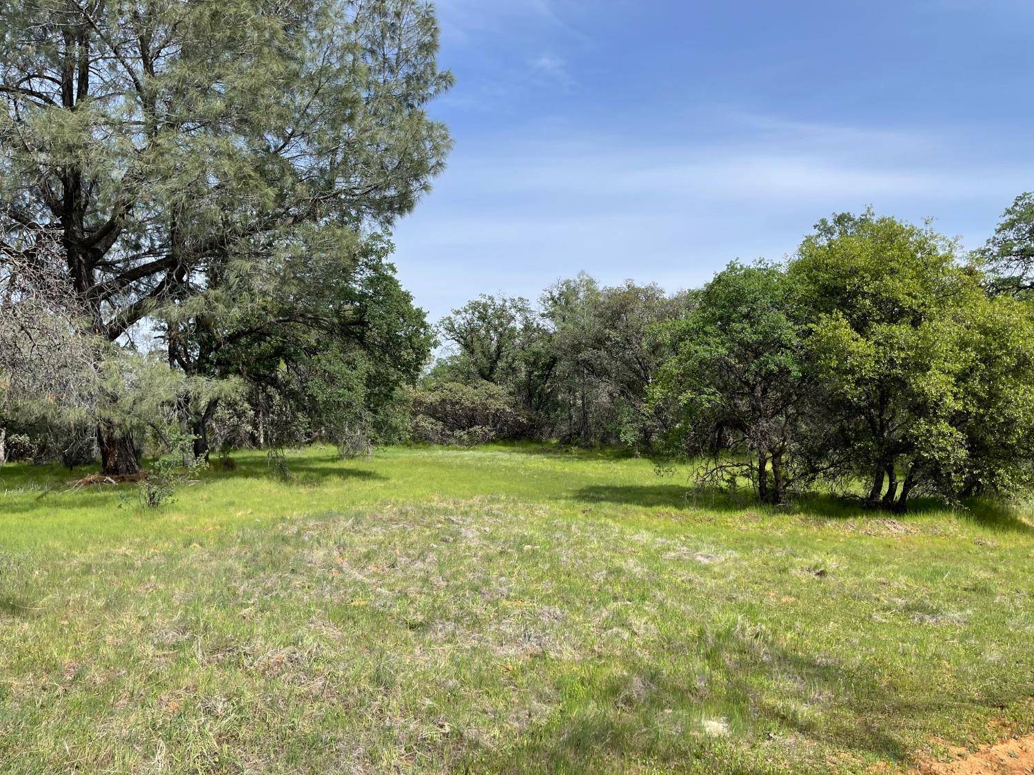 North San Juan, CA 95960,22677 Troost TRL