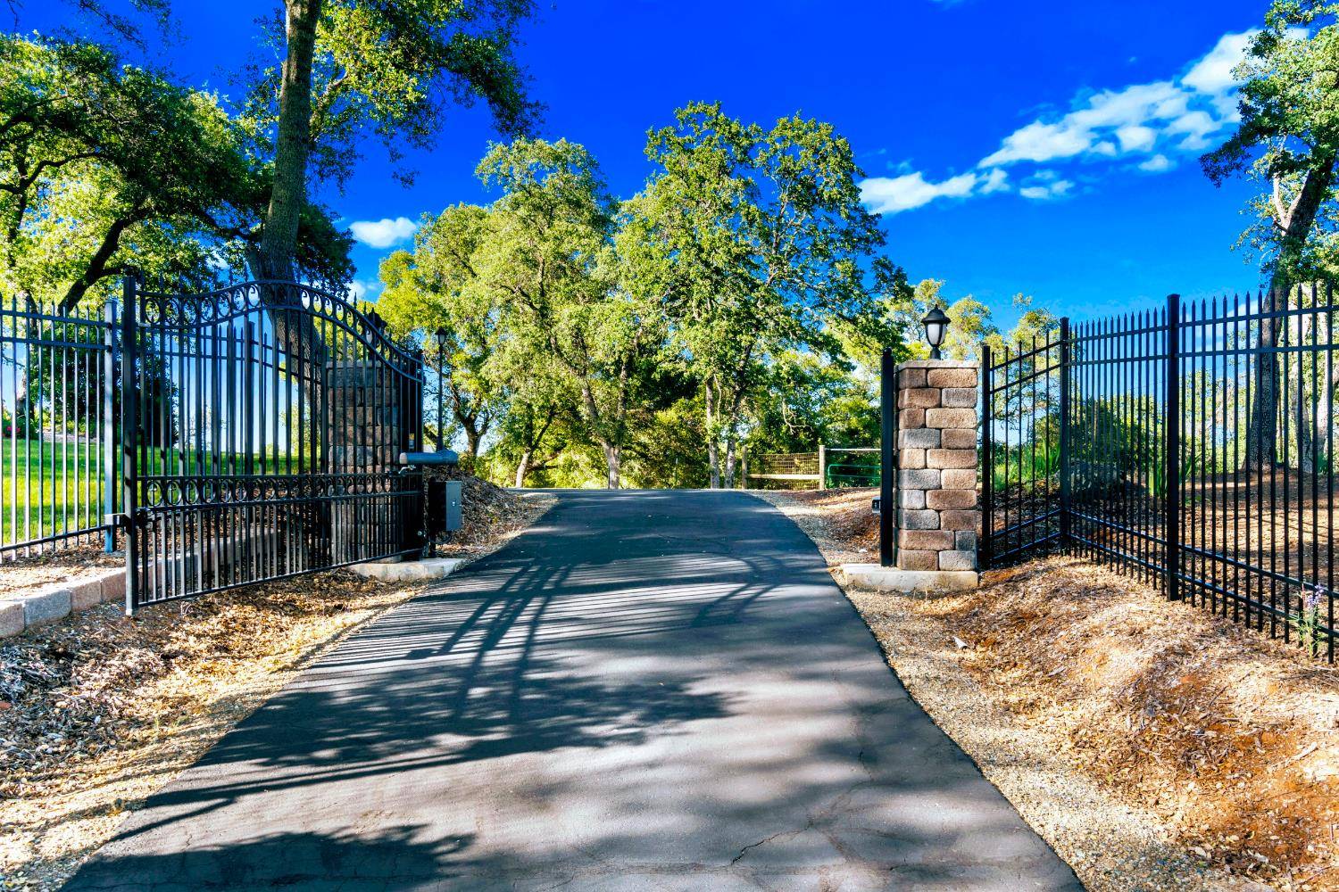 Shingle Springs, CA 95682,5001 Mourning Dove LN