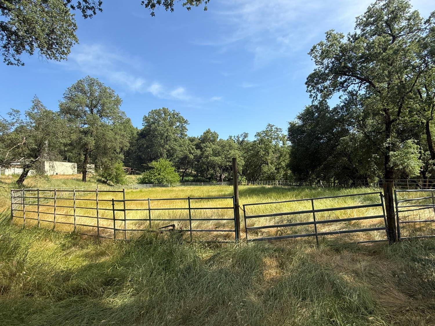 Grass Valley, CA 95949,20110 State Highway 49