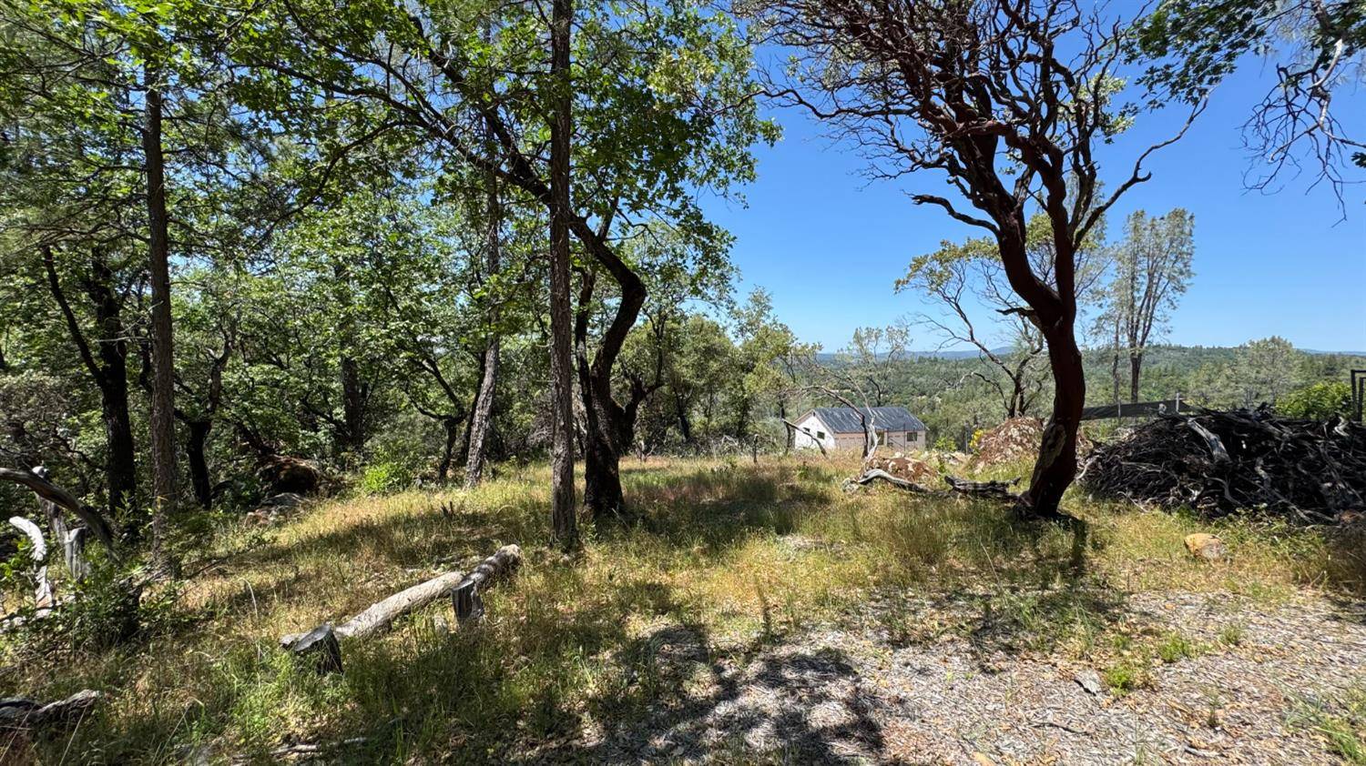 Meadow Vista, CA 95722,0 McElroy