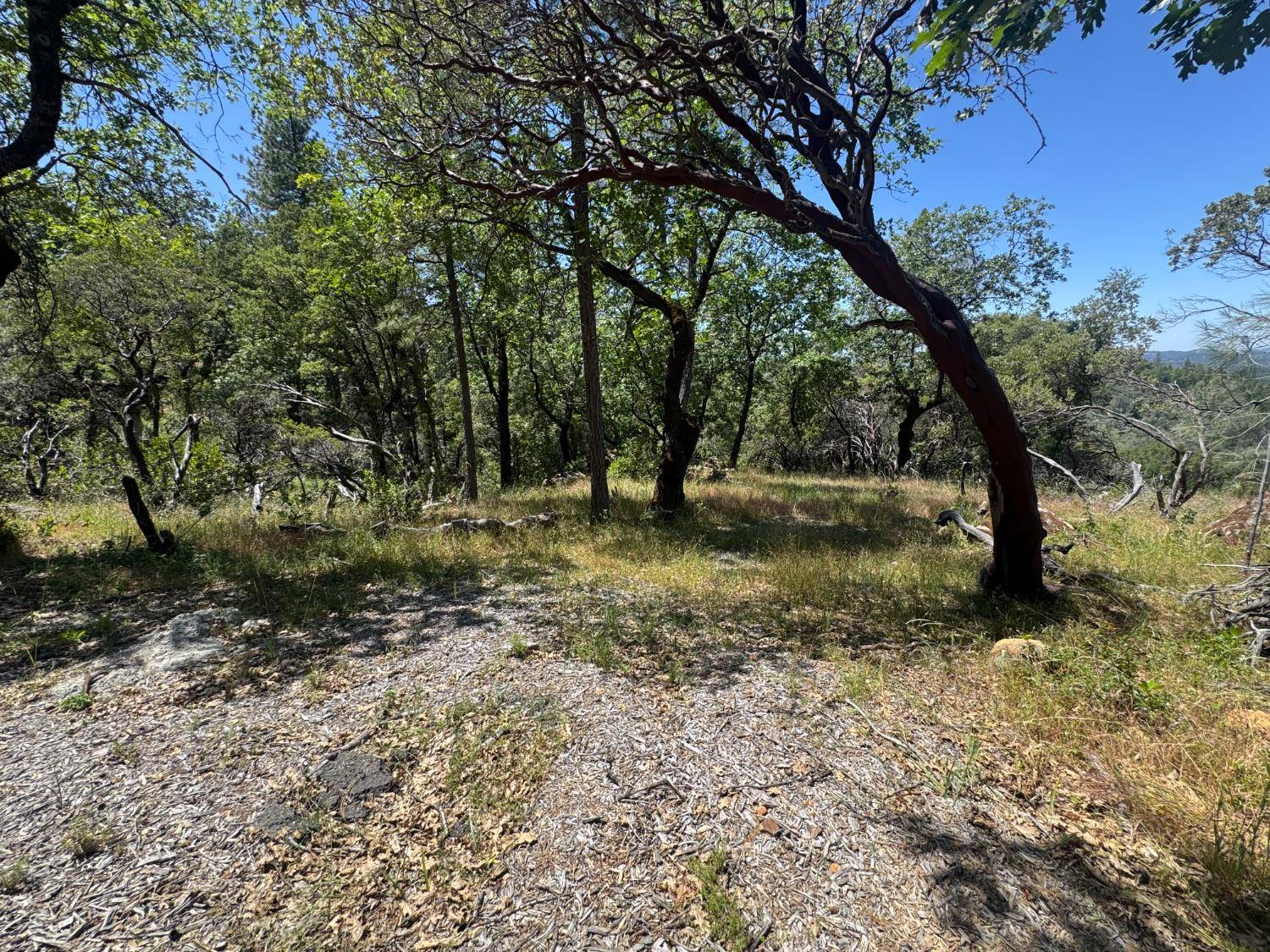 Meadow Vista, CA 95722,0 McElroy