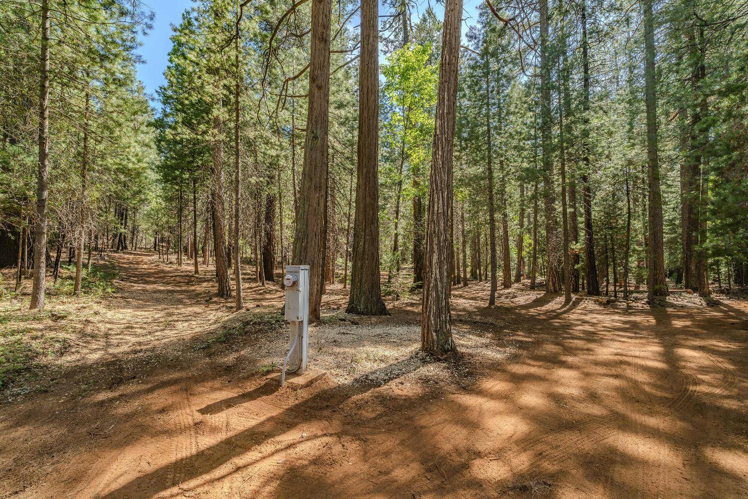 Volcano, CA 95689,19375 Cherokee LN