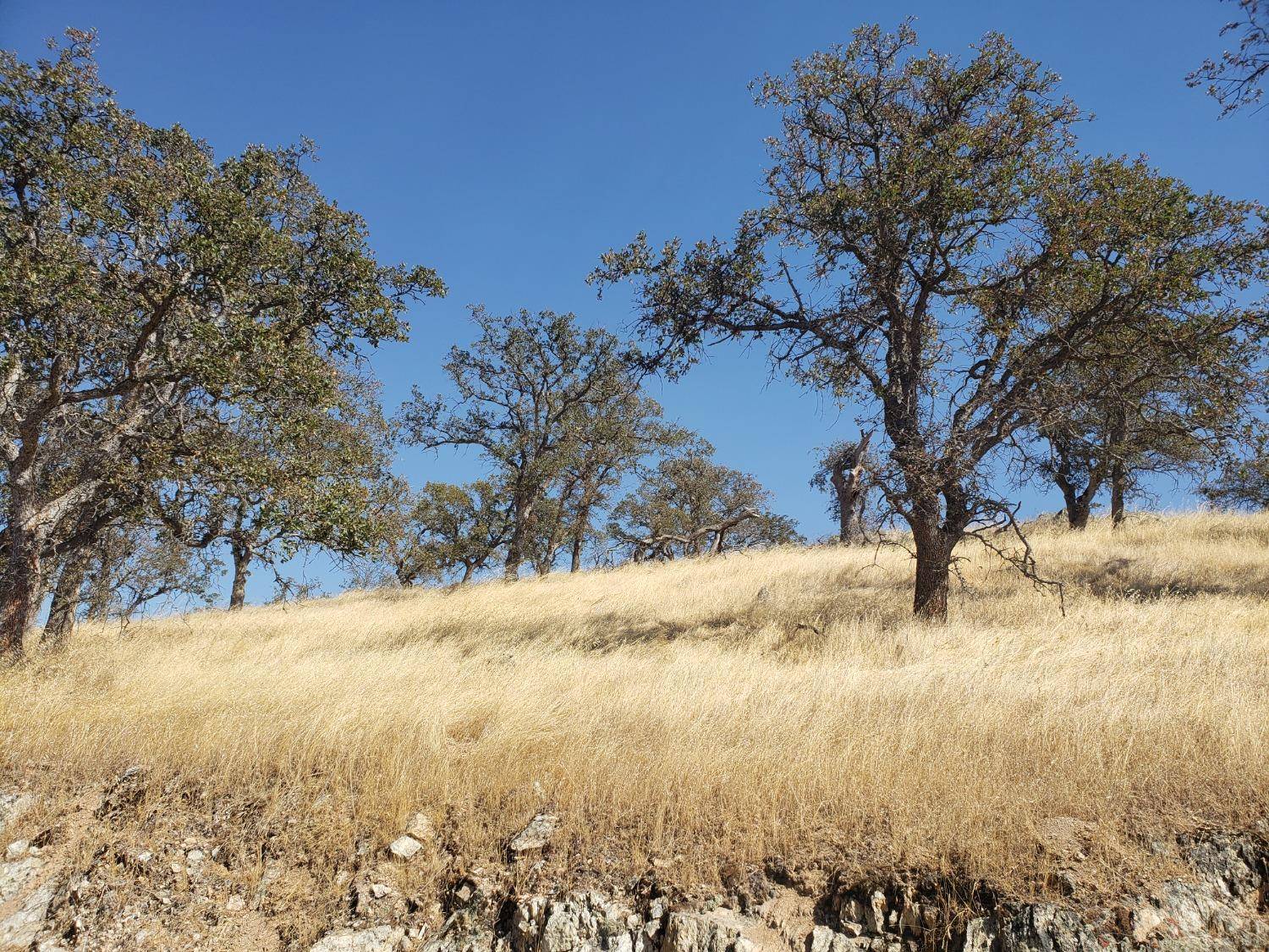 La Grange, CA 95329,9790 Caracol CIR