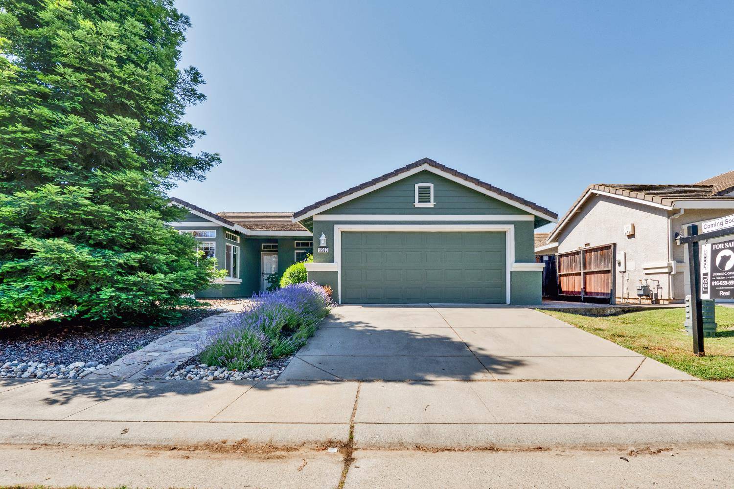Elk Grove, CA 95624,9588 Fetlock WAY