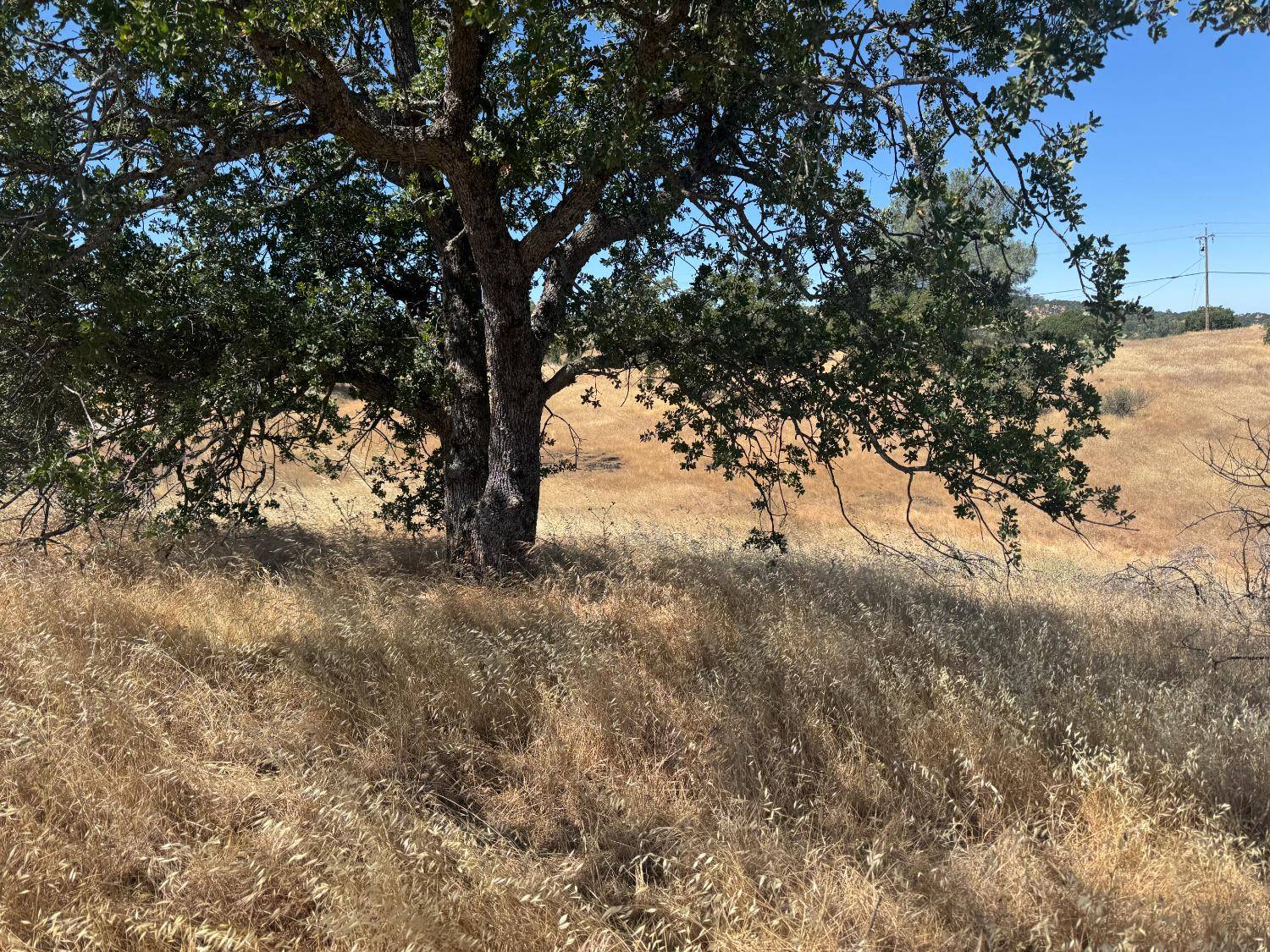 La Grange, CA 95329,569 Bolivar