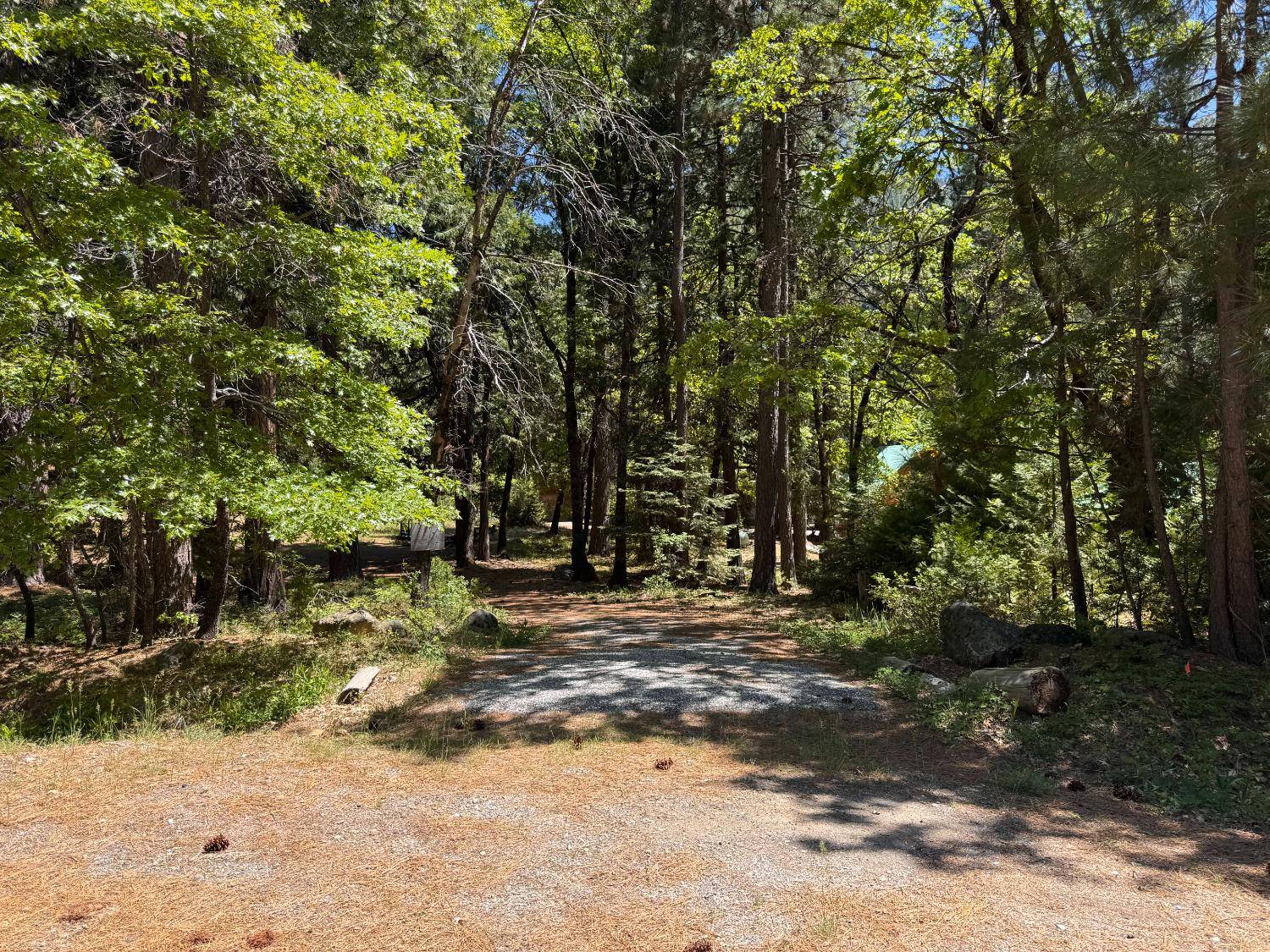 Sierra City, CA 96125,400 Tamarack Bend