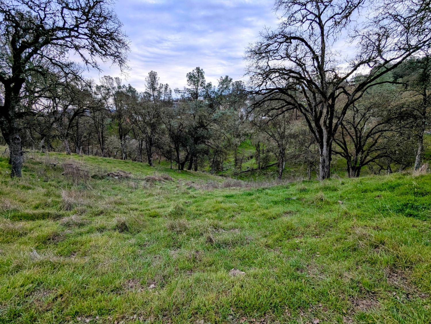 Copperopolis, CA 95228,4405 Bonnett