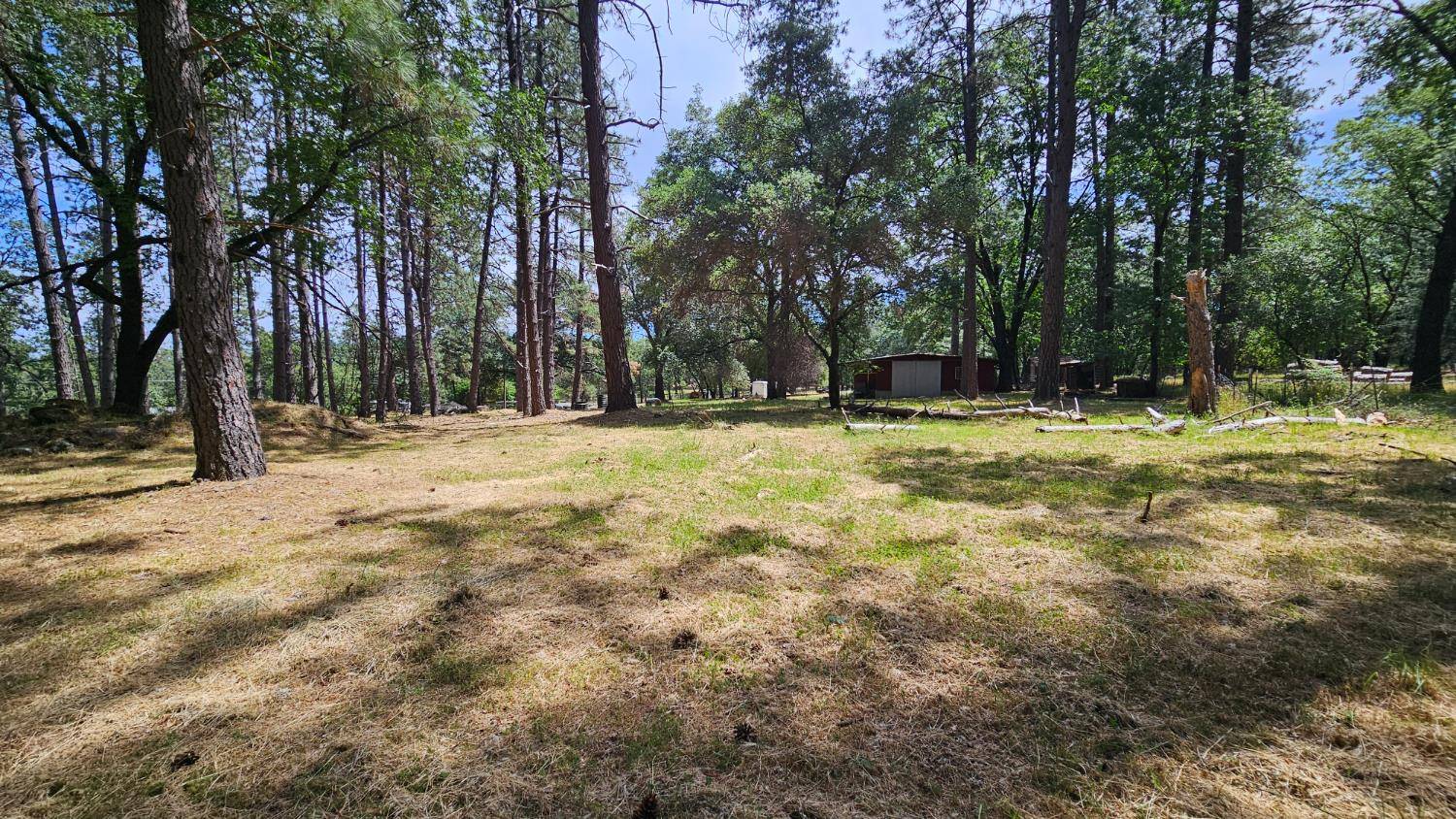 Meadow Vista, CA 95722,3195 Meadow Vista RD