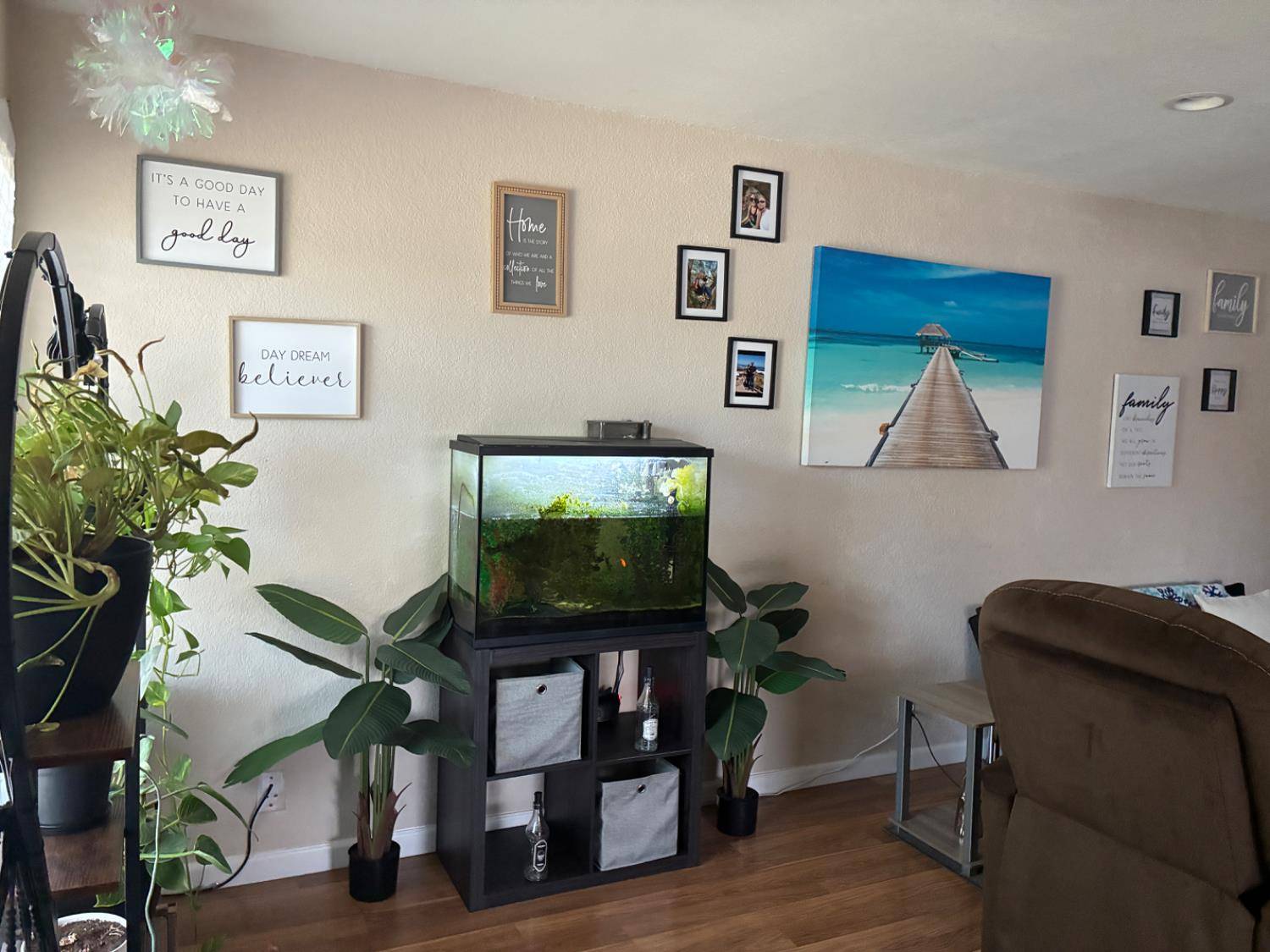 Live Oak, CA 95953,2375 Birch ST