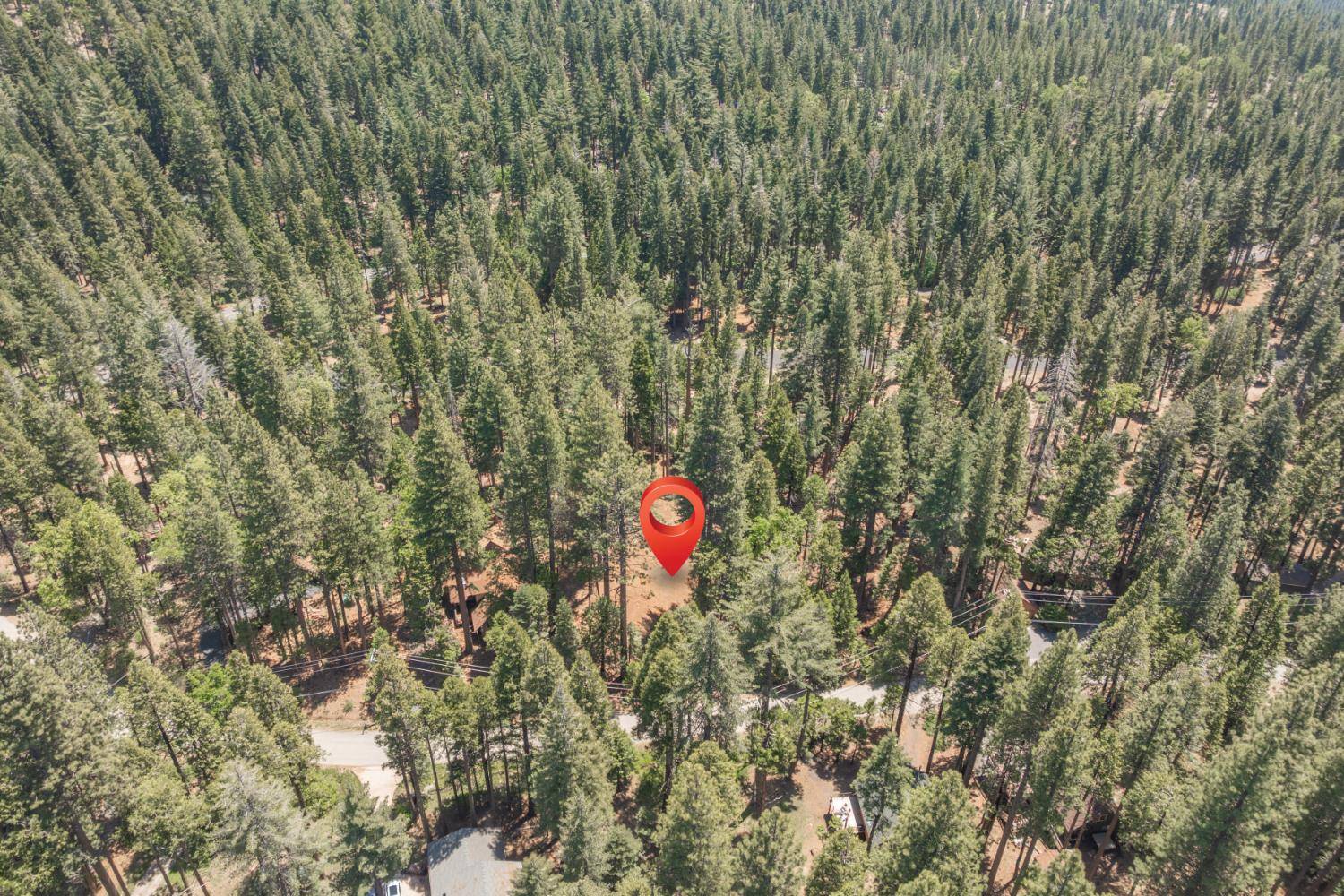 Camp Connell, CA 95223,3043 Shoshone DR
