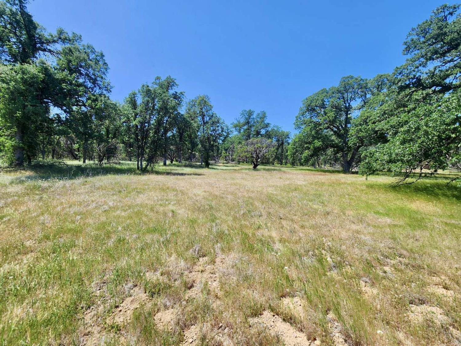 Cottonwood, CA 96022,0 Two Feathers RD