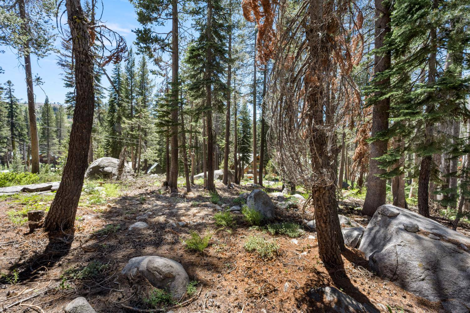 Soda Springs, CA 95728,21752 Lotta Crabtree TER