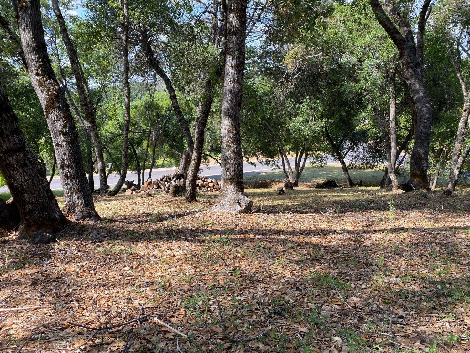Angels Camp, CA 95222,315 Mill CT