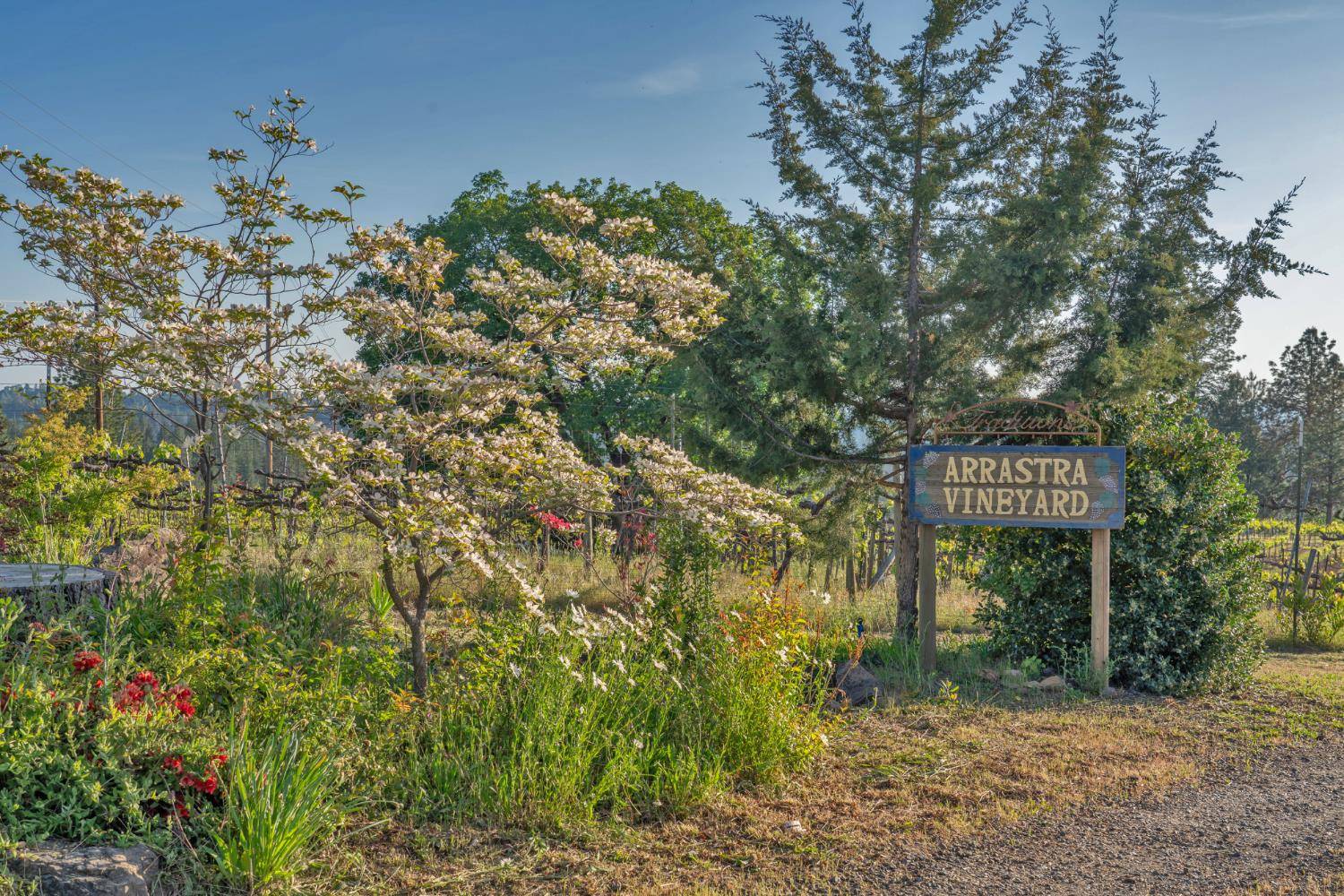 Placerville, CA 95667,2399 Kingsgate RD