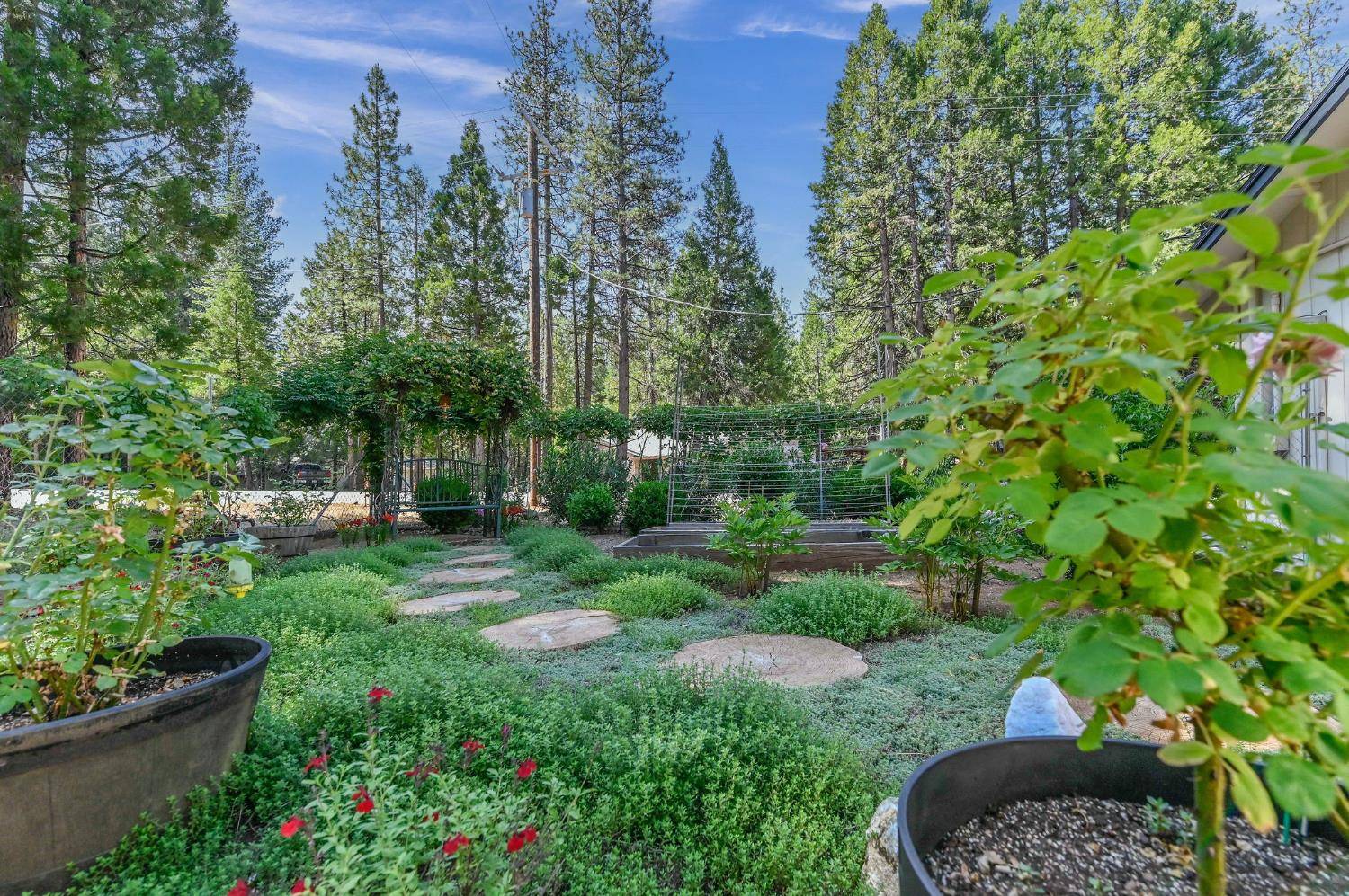 Pioneer, CA 95666,26269 Sugar Pine DR