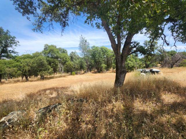 Bangor, CA 95901,85 Sunnyhill RD
