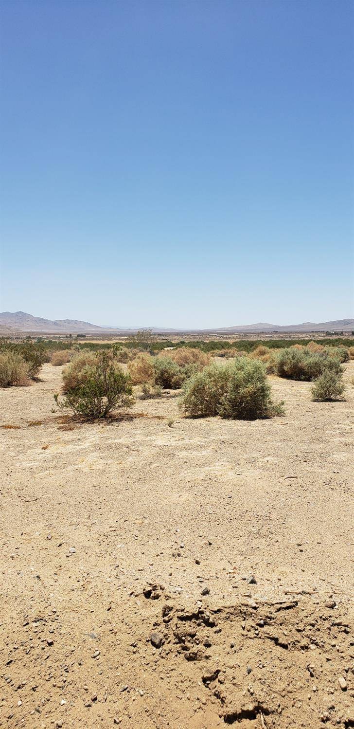 Helendale, CA 92342,0 Wheeler RD