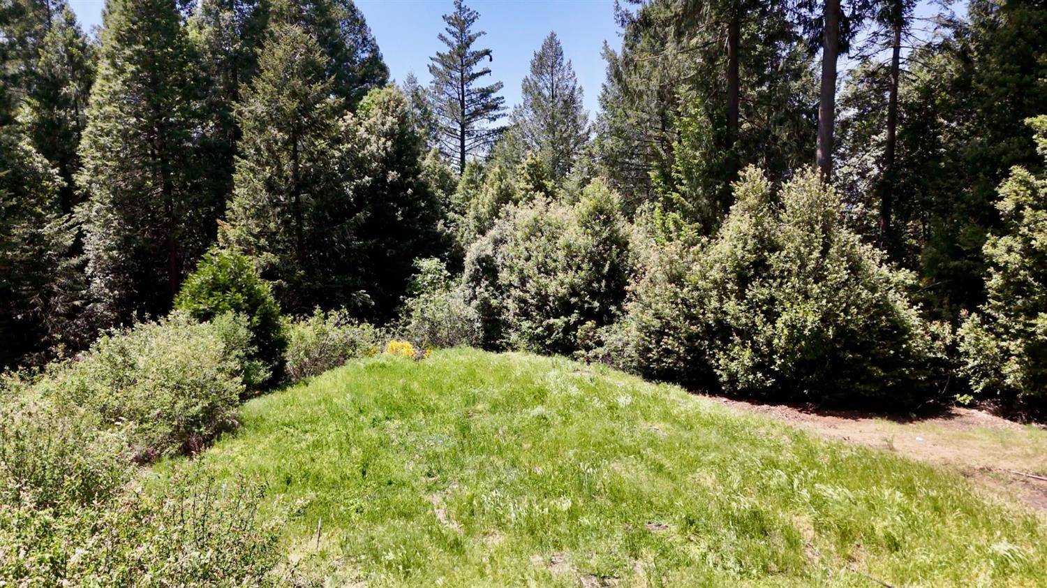 Nevada City, CA 95959,16600 Holiday WAY