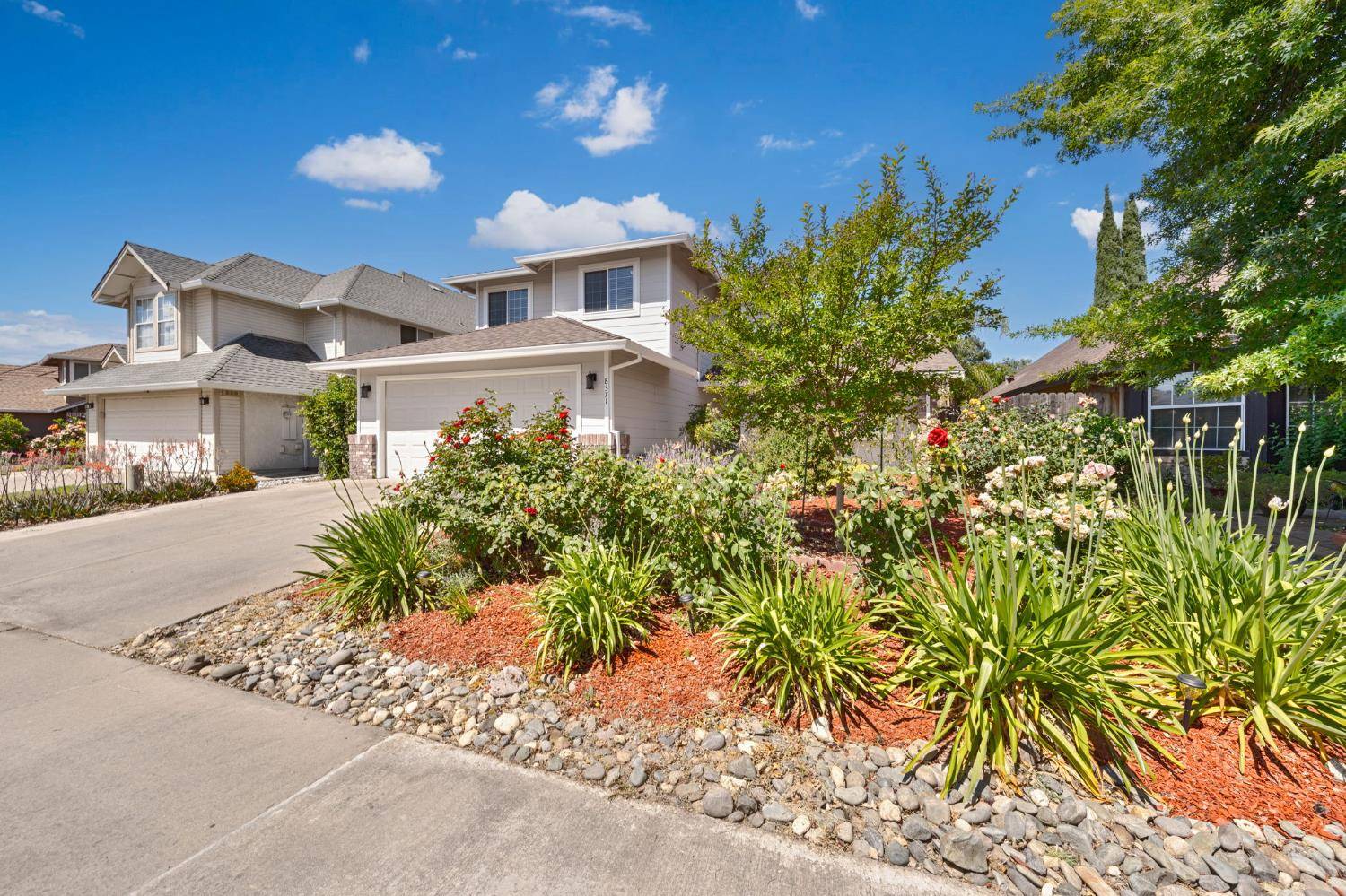 Sacramento, CA 95828,8371 Honeycomb WAY