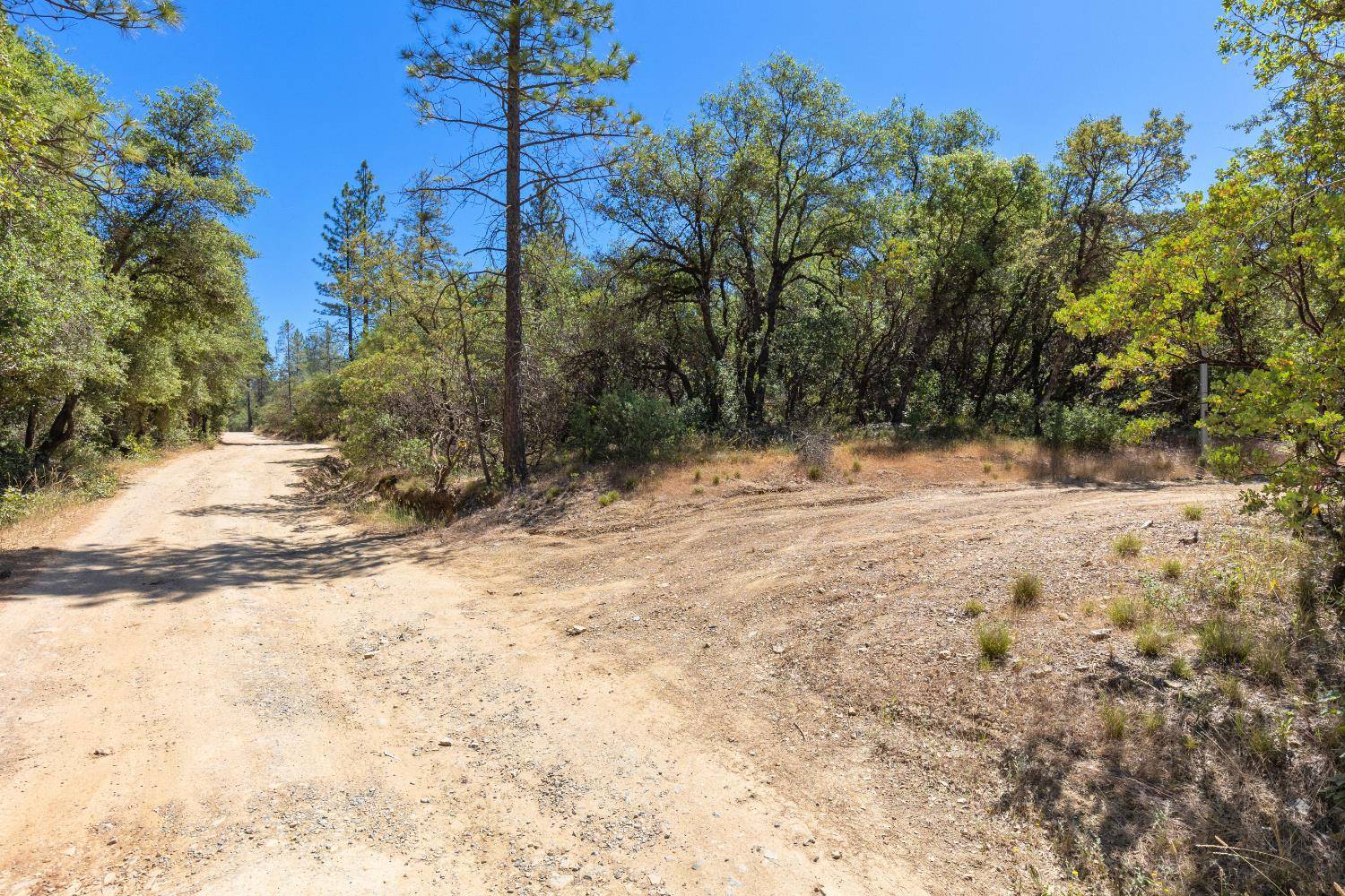 Grass Valley, CA 95949,12996 Deadmans Flat RD