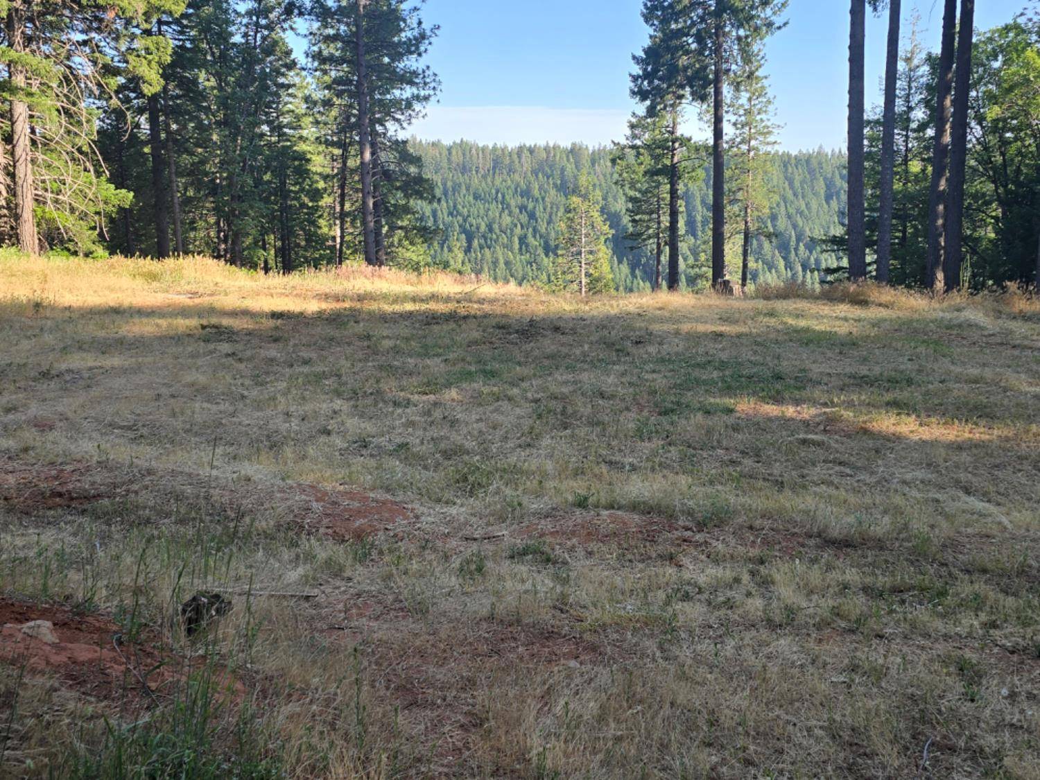 Nevada City, CA 95959,13907 Lightning Tree RD