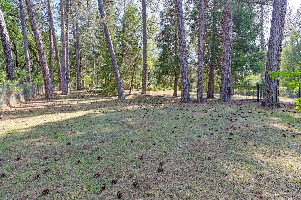 Meadow Vista, CA 95722,1925 Meadow Vista RD